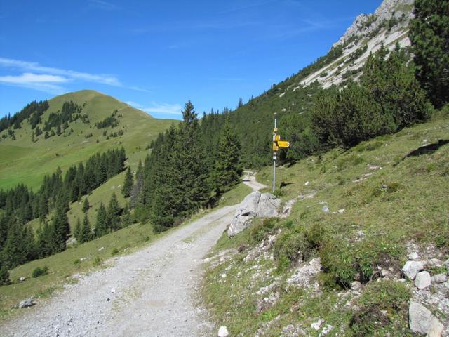 wir haben Punkt 1676 m.ü.M. erreicht. Geradeaus geht es nach Jänzimatt. Rechts zur Furgge