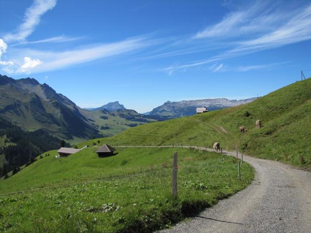 wir haben Jänzimatt 1637 m.ü.M.