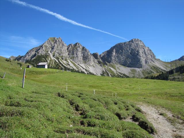 Blick zurück zur Schafnase und Rossflue (Giswilerstock)