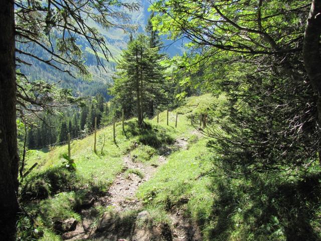 steil führt der Pfad nun runter zur Glaubenbielen Panoramastrasse