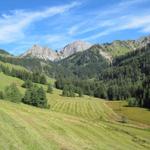 Blick zurück zum (Giswilerstock)