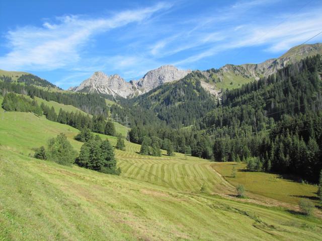 Blick zurück zum (Giswilerstock)