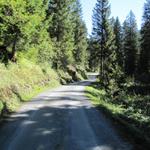 über eine Asphaltstrasse wandert man zur Alp Garfiun