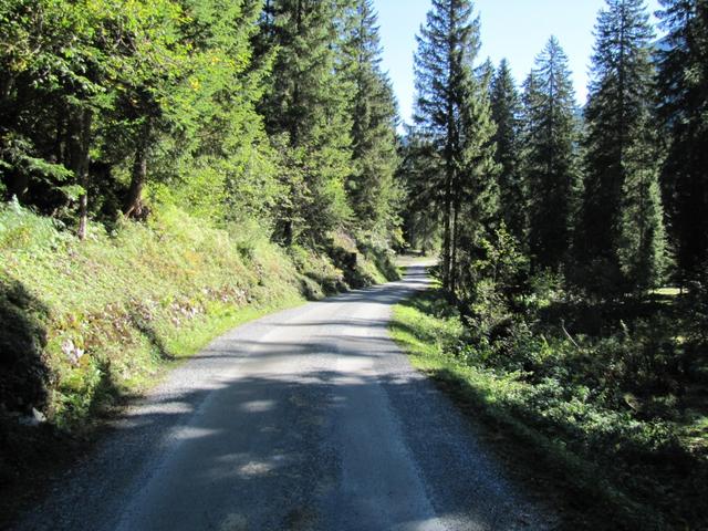 über eine Asphaltstrasse wandert man zur Alp Garfiun