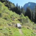 wir haben Alp Garfiun hinter uns gelassen und wandern nun in den Spärrer Wald