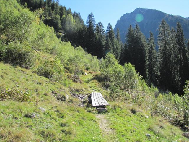 wir haben Alp Garfiun hinter uns gelassen und wandern nun in den Spärrer Wald