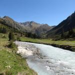 milchig weiss ist der Bach wegen dem Gletscherwasser vom Silvrettagebiet