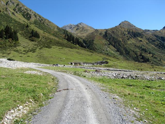 kurz vor Alp Sardasca