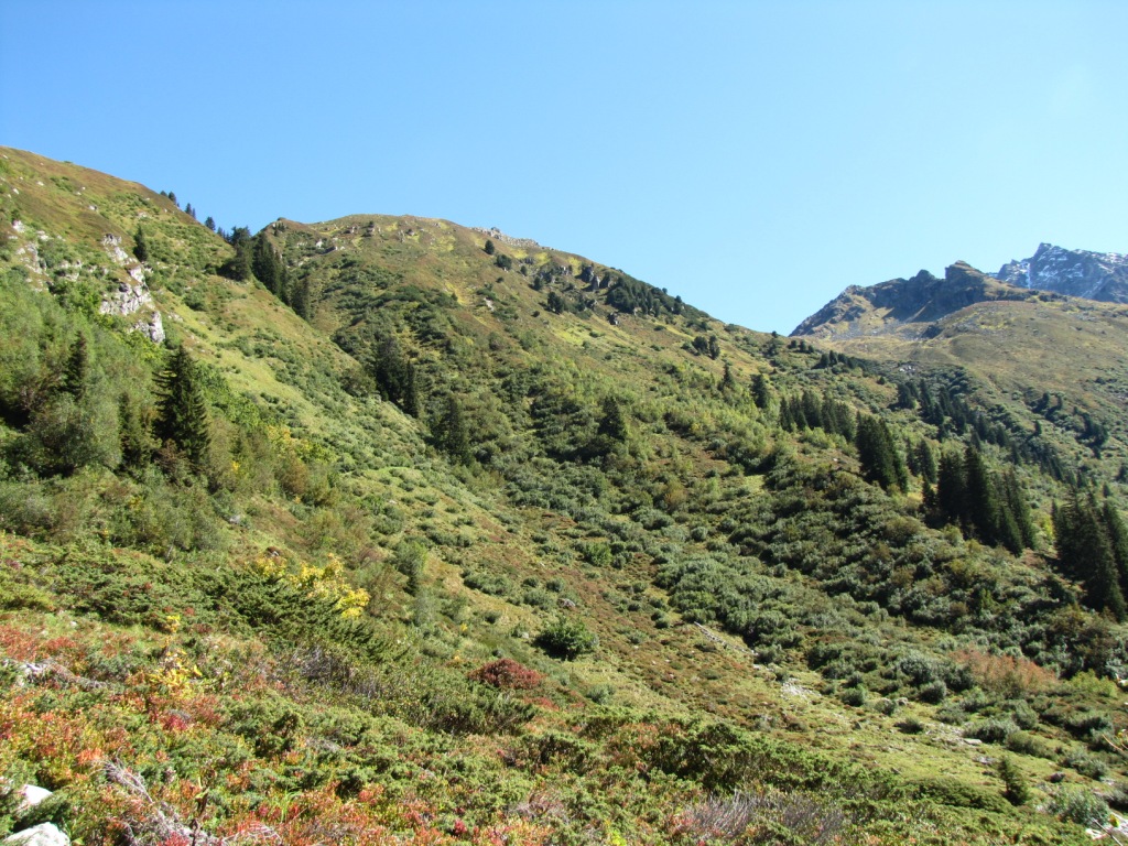 Blick Richtung Birchenzug. Durch diesen Hang führt der Weg zur Silvrettahütte