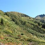 Blick Richtung Birchenzug. Durch diesen Hang führt der Weg zur Silvrettahütte