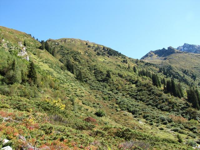 Blick Richtung Birchenzug. Durch diesen Hang führt der Weg zur Silvrettahütte