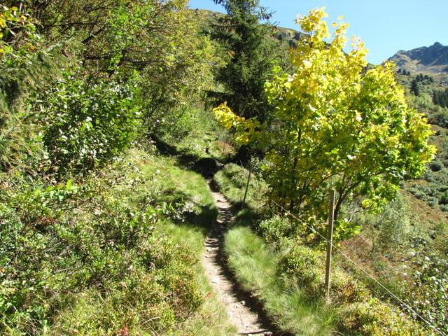 auf einfachem Wanderweg führt der Weg aufwärts