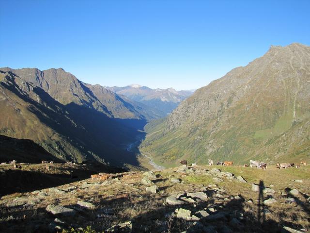 Alpabzug im Galtürtälli