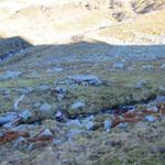 bei ca. 2200 m.ü.M. sind wir wieder auf den markierten Bergweg gestossen