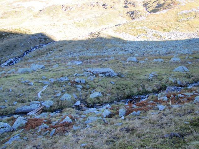 bei ca. 2200 m.ü.M. sind wir wieder auf den markierten Bergweg gestossen