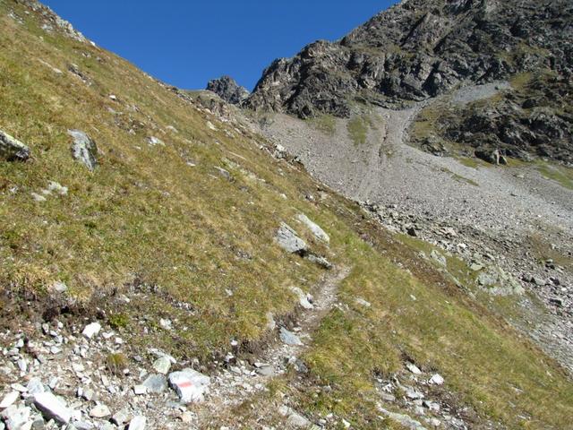 alles am Hang vom Mittelgrat entlang, führt der Weg zur Scharte