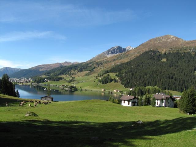 mit der Rhätischen Bahn auf der Fahrt nach Davos. Blick zum Davosersee