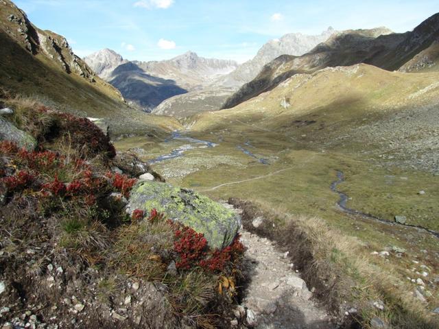 durch das schöne Jörital, führt uns der einfache Wanderweg abwärts Richtung Frömdvereina