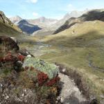 durch das schöne Jörital, führt uns der einfache Wanderweg abwärts Richtung Frömdvereina