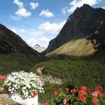 Blick vom Berghaus Vereina ins Vernelatal und Schwarzchopf