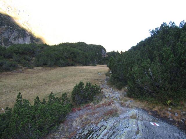 auf einem Wanderweg zu laufen ist doch viel schöner als auf einer Strasse