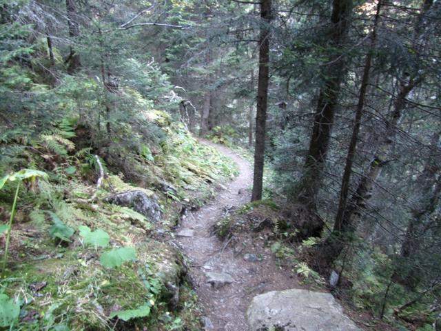 durch einen steilen Waldweg geht es runter ins Tobel vom Vereinabach