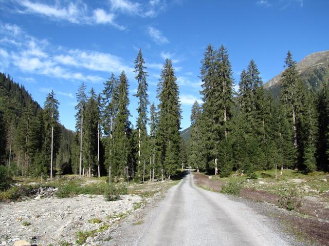 auf dem Weg nach Alp Garfiun