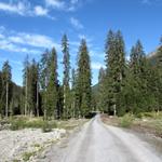 auf dem Weg nach Alp Garfiun