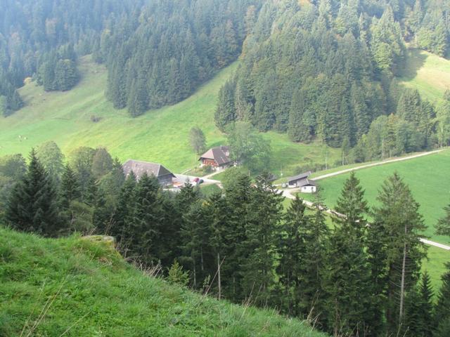 Blick von Trimle aus, runter zur Mettlenalp