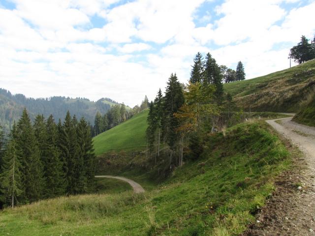 auf einer Naturstrasse Richtung Trimle