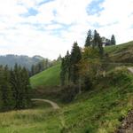 auf einer Naturstrasse Richtung Trimle