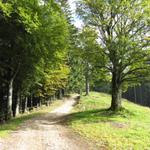 auf dem Weg zur Stächelegg