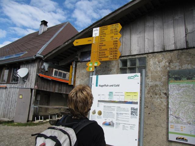 Mäusi beim Wegweiser auf der Stächelegg 1304 m.ü.M.