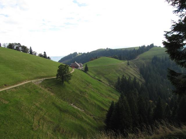 Blick zurück zur Stächelegg