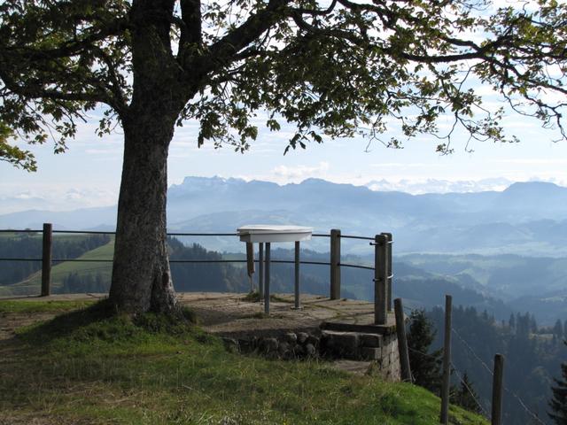 sehr schöner Aussichtspunkt auf dem Napf