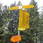 Wegweiser bei Grüebli 1280 m.ü.M. Alpenpanorama Weg 3 und Grenzpfad Napfbergland 65