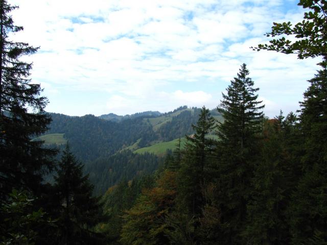 Blick Richtung Lushütte