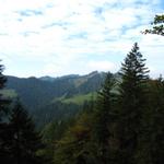 Blick Richtung Lushütte