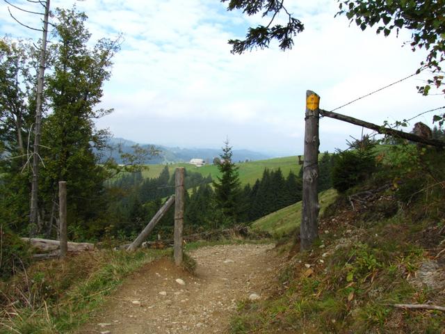 bei Eyflue mit Blick Richtung Nideränzi