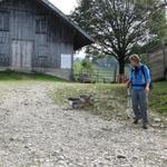 Mäusi wird von 2 Gänse angegriffen