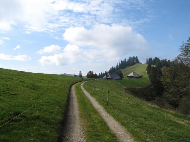 auf Hochänzi 1328 m.ü.M.