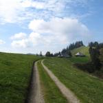 auf Hochänzi 1328 m.ü.M.