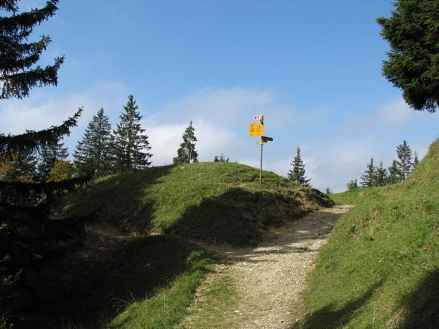 auf einfachem Wanderweg geht es zur Lushütte