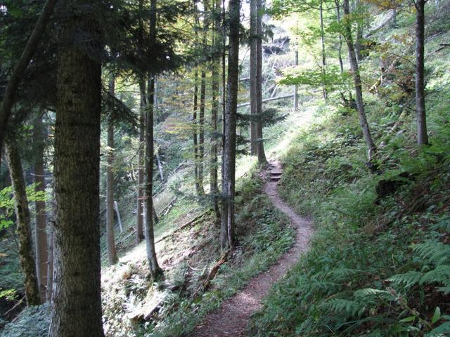 auf dem Weg Richtung Homatt