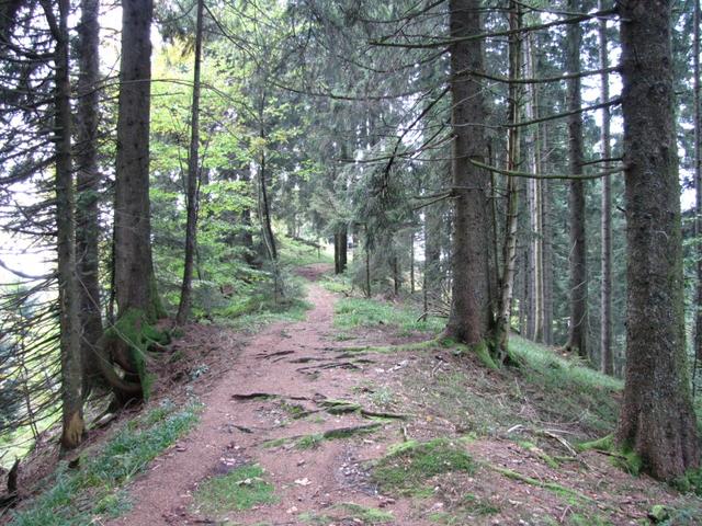 und Wälder führt uns der Weg weiter mit dem Endziel Trub