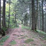 und Wälder führt uns der Weg weiter mit dem Endziel Trub