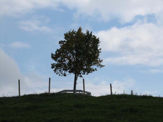 beim Aussichtspunkt Stauffechnubel 1227 m.ü.M.