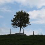 beim Aussichtspunkt Stauffechnubel 1227 m.ü.M.