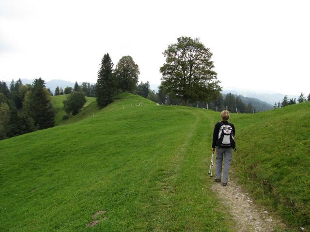 der Wanderweg ist einfach, zieht sich aber gehörig in die Länge