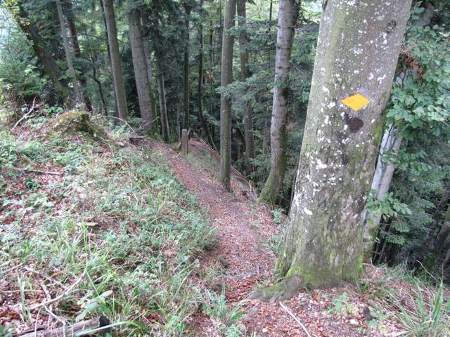 nach Under Stauffe wird der Weg ein Hauch Alpiner